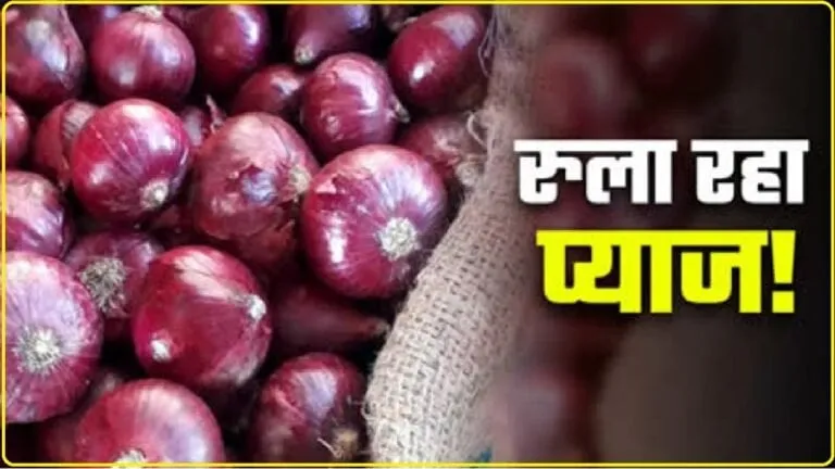 Himachal Onion Price || त्योहारी सीजन में रुलाने लगा प्याज, हिमाचल में 80 रुपये प्रति किलो पहुंचे दाम 