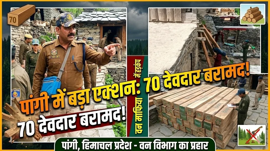 Major Forest Department Raid in Pangi Chamba: 70 Deodar Sleepers Seized from Varneu Village; Strict Action Against Forest Mafia